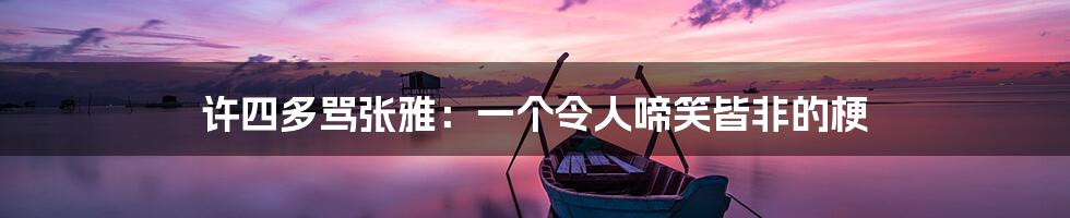 许四多骂张雅:一个令人啼笑皆非的梗