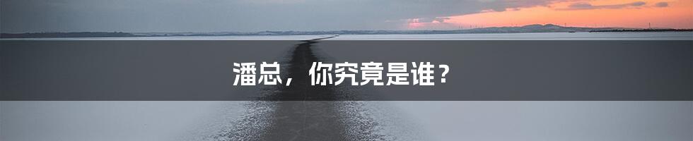 潘总,你究竟是谁?