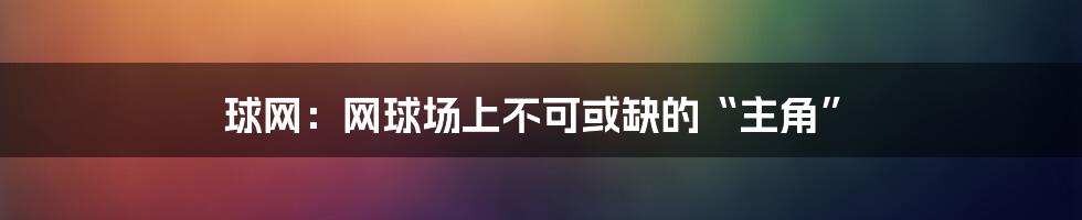 球网:网球场上不可或缺的“主角”
