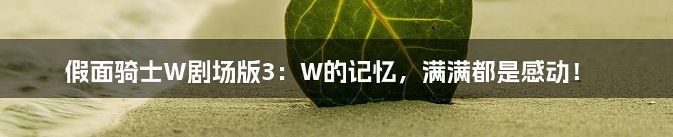 假面骑士W剧场版3:W的记忆,满满都是感动!
