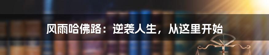 风雨哈佛路:逆袭人生,从这里开始
