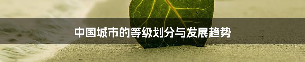 中国城市的等级划分与发展趋势