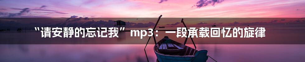“请安静的忘记我”mp3:一段承载回忆的旋律