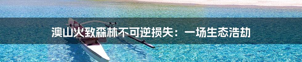 澳山火致森林不可逆损失:一场生态浩劫