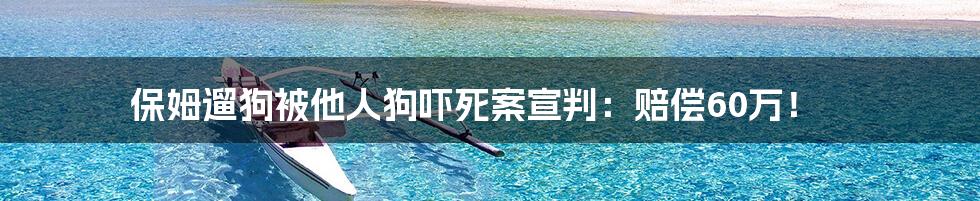 保姆遛狗被他人狗吓死案宣判:赔偿60万!