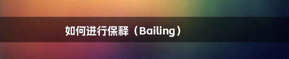 如何进行保释(Bailing)