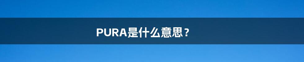 PURA是什么意思?