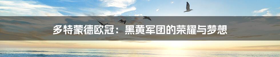 多特蒙德欧冠:黑黄军团的荣耀与梦想