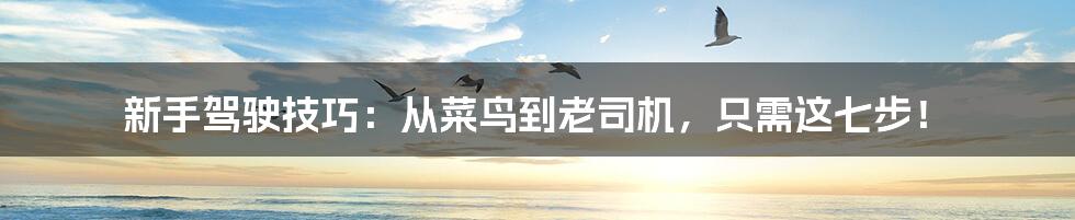 新手驾驶技巧：从菜鸟到老司机，只需这七步！