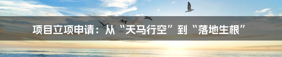 项目立项申请:从“天马行空”到“落地生根”