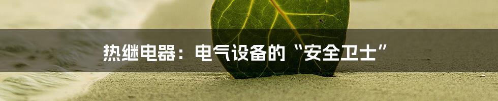热继电器:电气设备的“安全卫士”