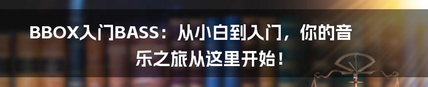 BBOX入门BASS:从小白到入门,你的音乐之旅从这里开始!