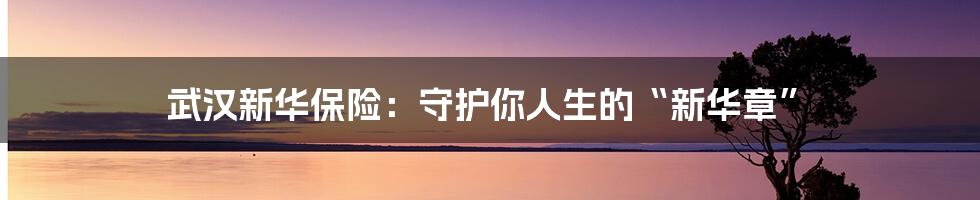 武汉新华保险:守护你人生的“新华章”