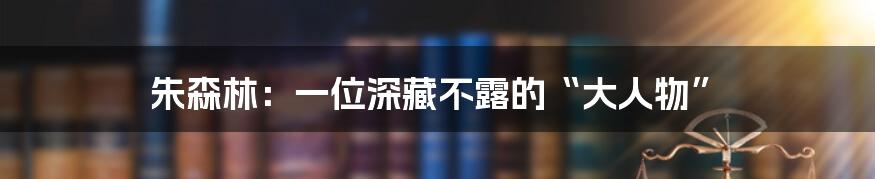 朱森林:一位深藏不露的“大人物”