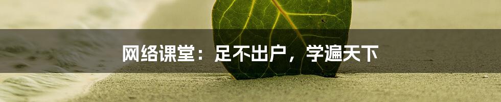 网络课堂:足不出户,学遍天下