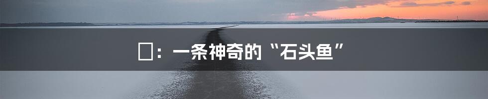 鮡:一条神奇的“石头鱼”