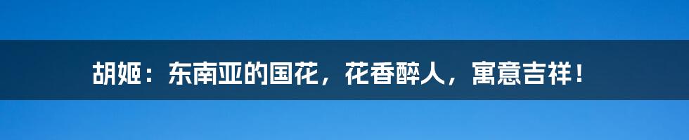 胡姬：东南亚的国花，花香醉人，寓意吉祥！