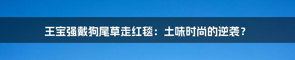 王宝强戴狗尾草走红毯:土味时尚的逆袭?