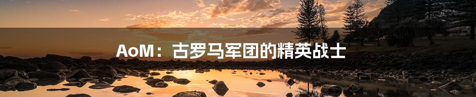 AoM:古罗马军团的精英战士