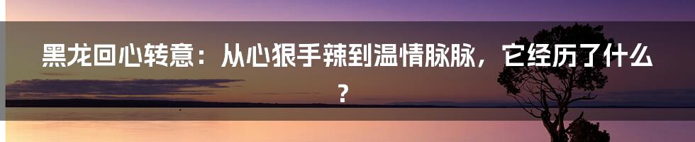 黑龙回心转意：从心狠手辣到温情脉脉，它经历了什么？
