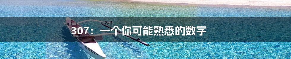 307:一个你可能熟悉的数字