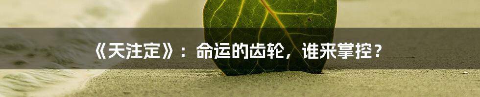 《天注定》:命运的齿轮,谁来掌控?