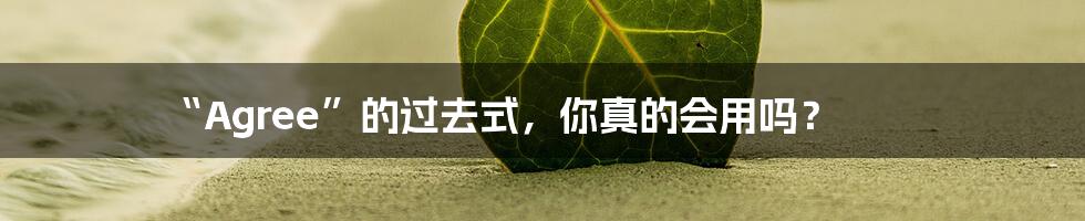 “Agree”的过去式,你真的会用吗?