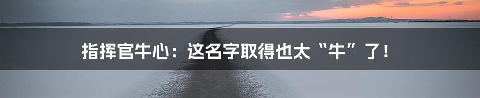 指挥官牛心:这名字取得也太“牛”了!