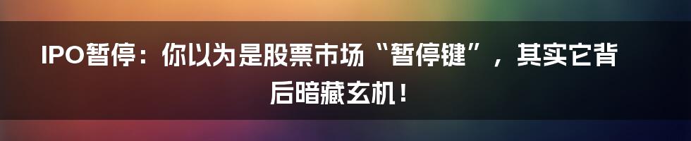 IPO暂停:你以为是股票市场“暂停键”,其实它背后暗藏玄机!