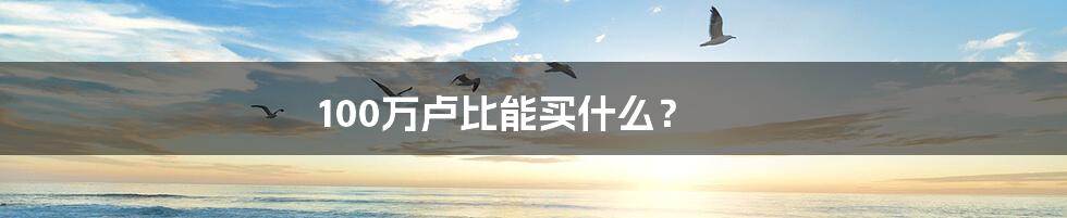 100万卢比能买什么？