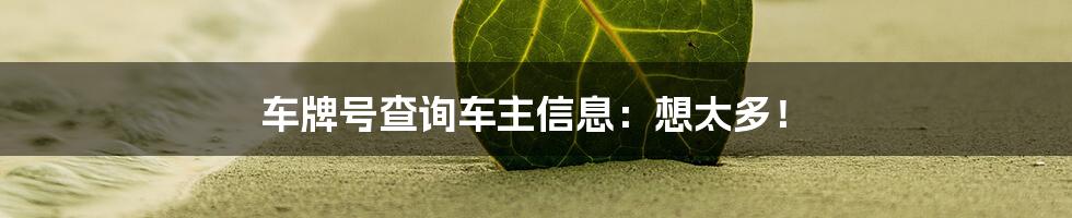 车牌号查询车主信息:想太多!