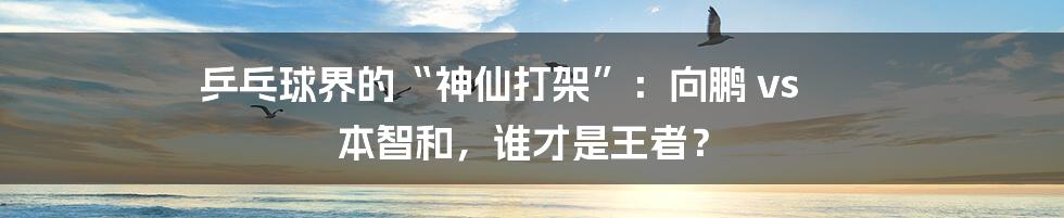 乒乓球界的“神仙打架”:向鹏 vs 本智和,谁才是王者?