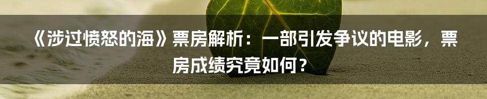 《涉过愤怒的海》票房解析:一部引发争议的电影,票房成绩究竟如何?