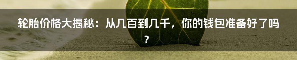 轮胎价格大揭秘:从几百到几千,你的钱包准备好了吗?