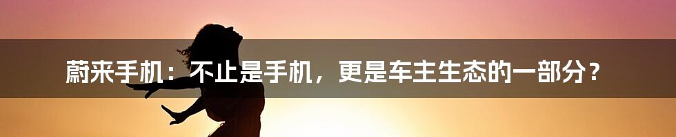 蔚来手机:不止是手机,更是车主生态的一部分?