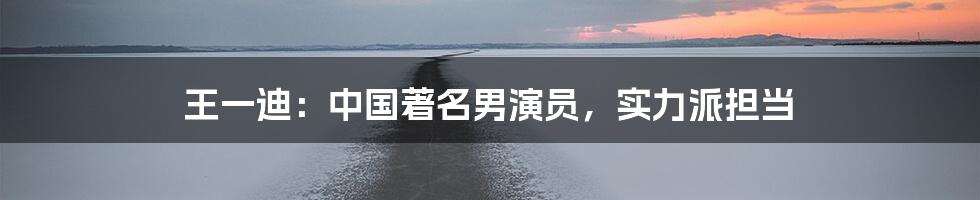 王一迪：中国著名男演员，实力派担当