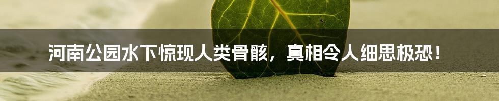 河南公园水下惊现人类骨骸,真相令人细思极恐!
