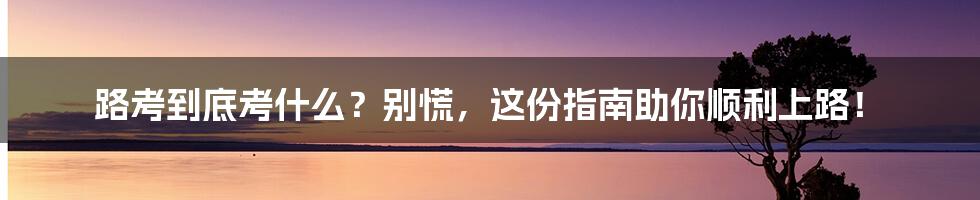路考到底考什么?别慌,这份指南助你顺利上路!