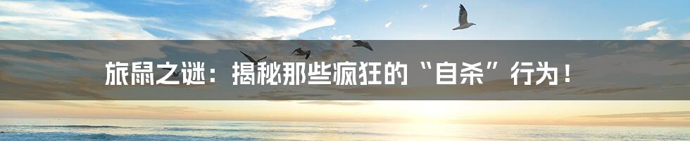 旅鼠之谜:揭秘那些疯狂的“自杀”行为!