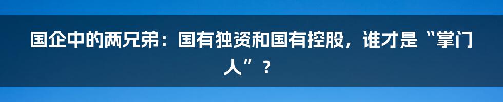 国企中的两兄弟:国有独资和国有控股,谁才是“掌门人”?