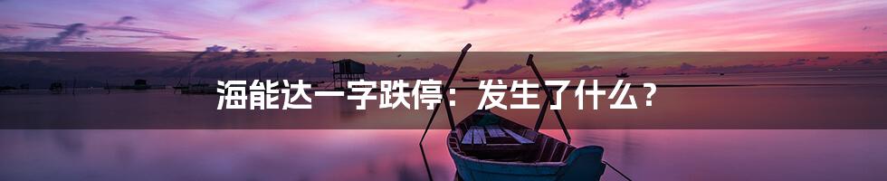 海能达一字跌停:发生了什么?