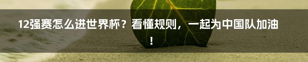 12强赛怎么进世界杯?看懂规则,一起为中国队加油!