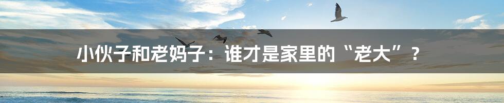 小伙子和老妈子:谁才是家里的“老大”?