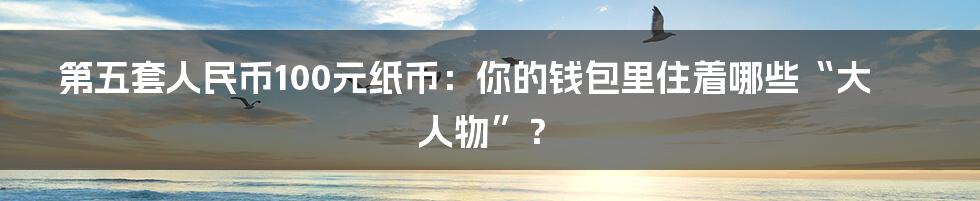 第五套人民币100元纸币:你的钱包里住着哪些“大人物”?