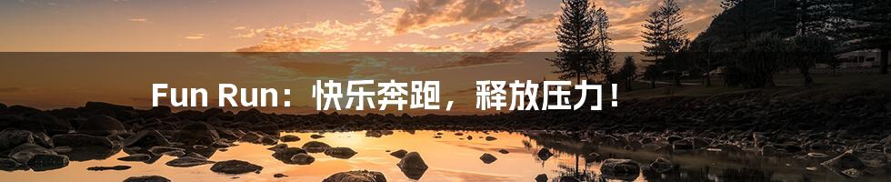 Fun Run:快乐奔跑,释放压力!