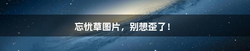 忘忧草图片,别想歪了!