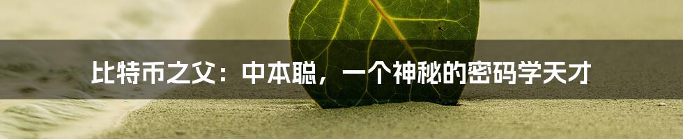 比特币之父:中本聪,一个神秘的密码学天才