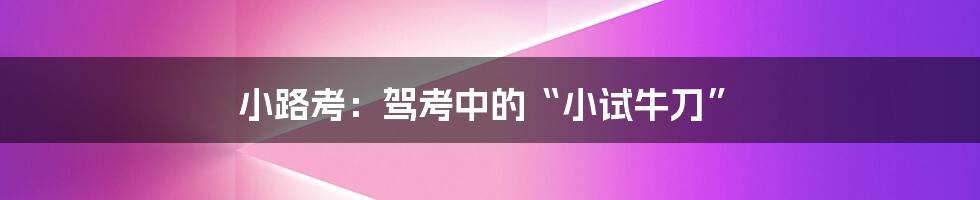 小路考:驾考中的“小试牛刀”