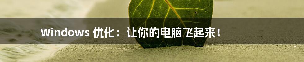 Windows 优化：让你的电脑飞起来！
