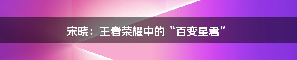 宋晓:王者荣耀中的“百变星君”